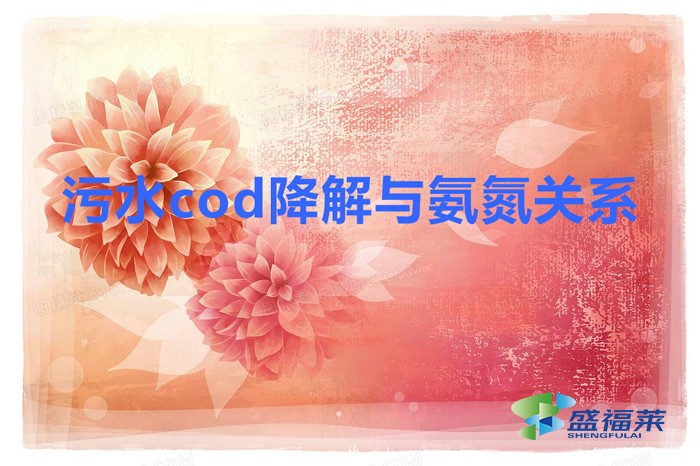 污水cod降解與氨氮關系