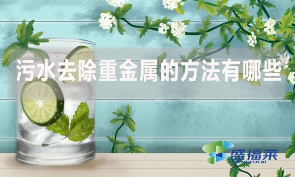 污水去除重金屬的方法有哪些？
