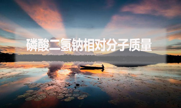 磷酸二氫鈉相對分子質量是什么？應該怎么算？